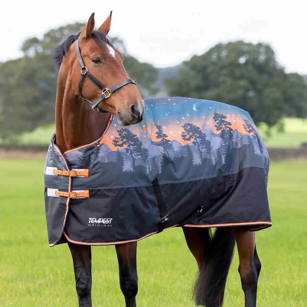 Shires Tempest Original 200g Turnout - Winter Sunset – Euro Equestrian