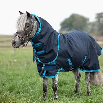 Horseware Amigo Hero 6 Petite Plus with Detachable Hood - Medium Weight