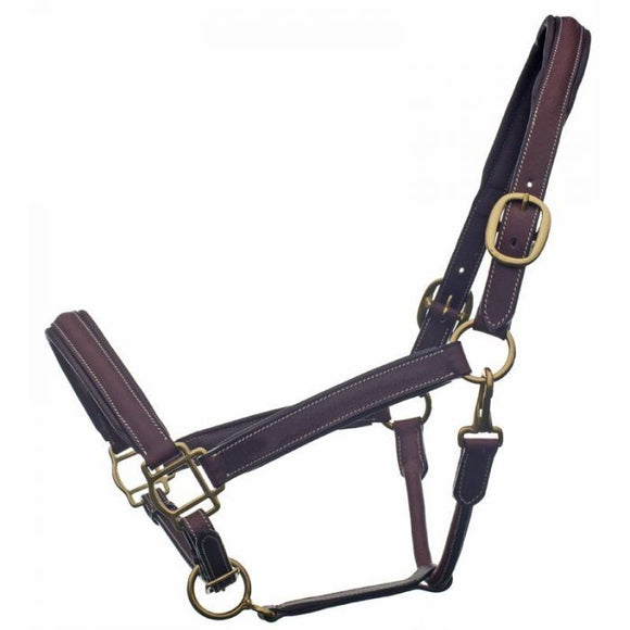 Bromont Raised and Padded Leather Halter
