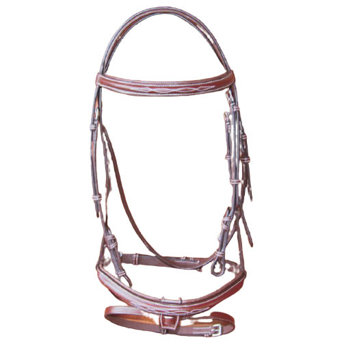 Sage Family Fancy Stitched Bridle with Removable Flash - Black