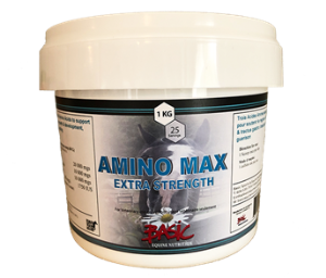 Amino Max Extra Strength 1 kg
