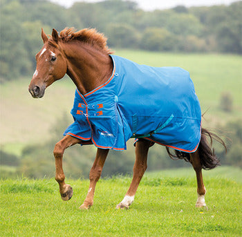 Shires Highland Plus 200g Winter Turnout Blanket