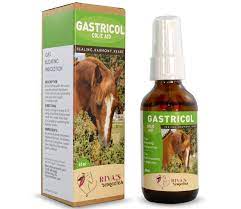 Riva's Remedies Gastricol