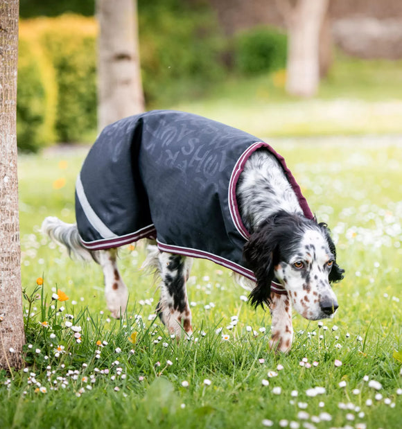 Horseware Amigo Waterproof Dog Coat