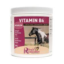 Riva's Remedies Vitamin B6