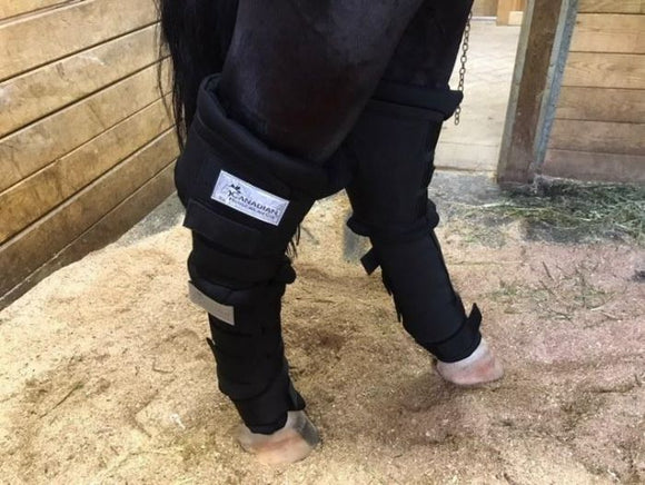 Canadian Horsewear Quick Wraps