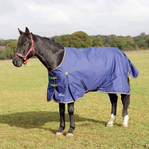 Shires Highlander Plus 100g Turnout Blanket